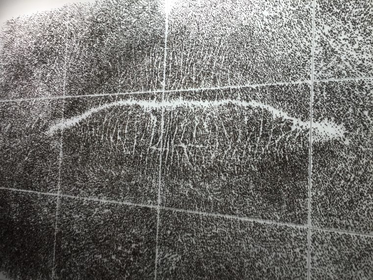 Giuseppe Penone, Spine d’acacia contatto, 2005